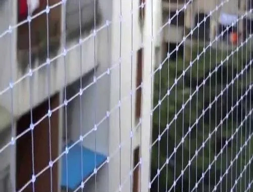 Transparent Net